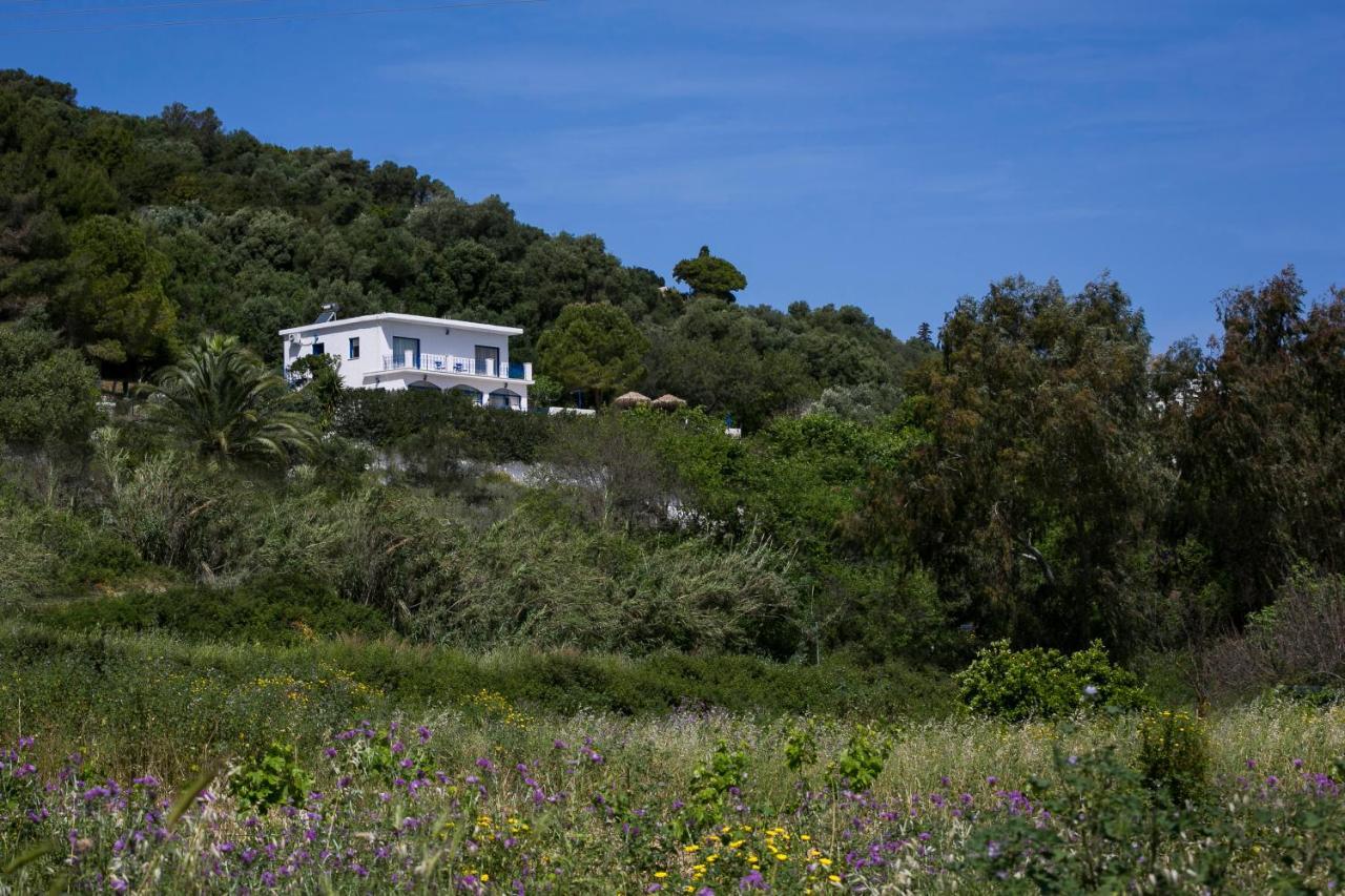 Villa Afrodite 莫斯塔 外观 照片